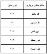 مانتو رویه سایزبزرگ مروارید دوزی کد 282 - Image 4