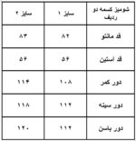 شومیز کسمه دو ردیف دکمه کد ۲۸۴ - Image 4